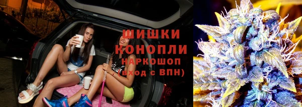 дмт Аркадак